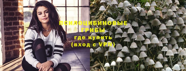 сатива Усмань