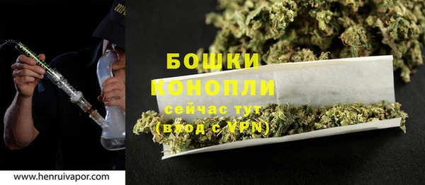 сатива Усмань